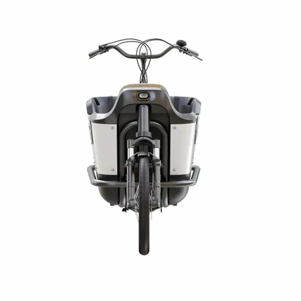 Royal Cargo Bike 2W Premium - Zaļš