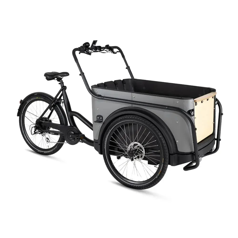 Royal Cargo Bike 3W Eco - Pelēks