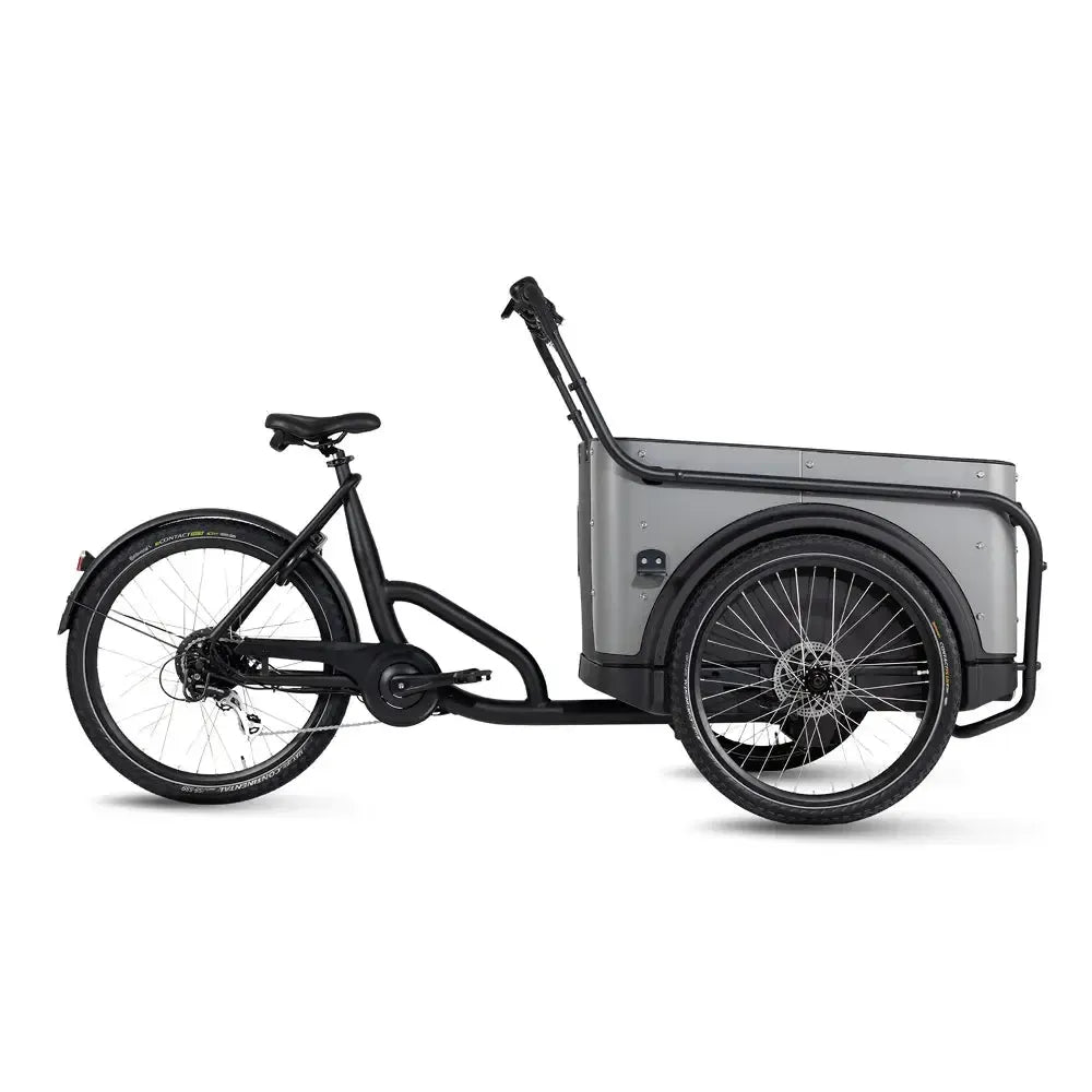 Royal Cargo Bike 3W Eco - Pelēks