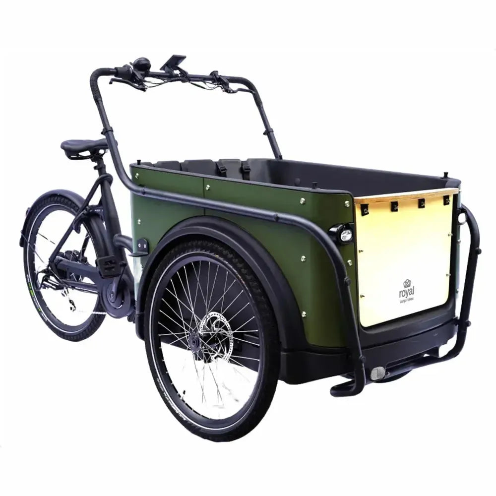 Royal Cargo Bike 3W Eco - Zaļš