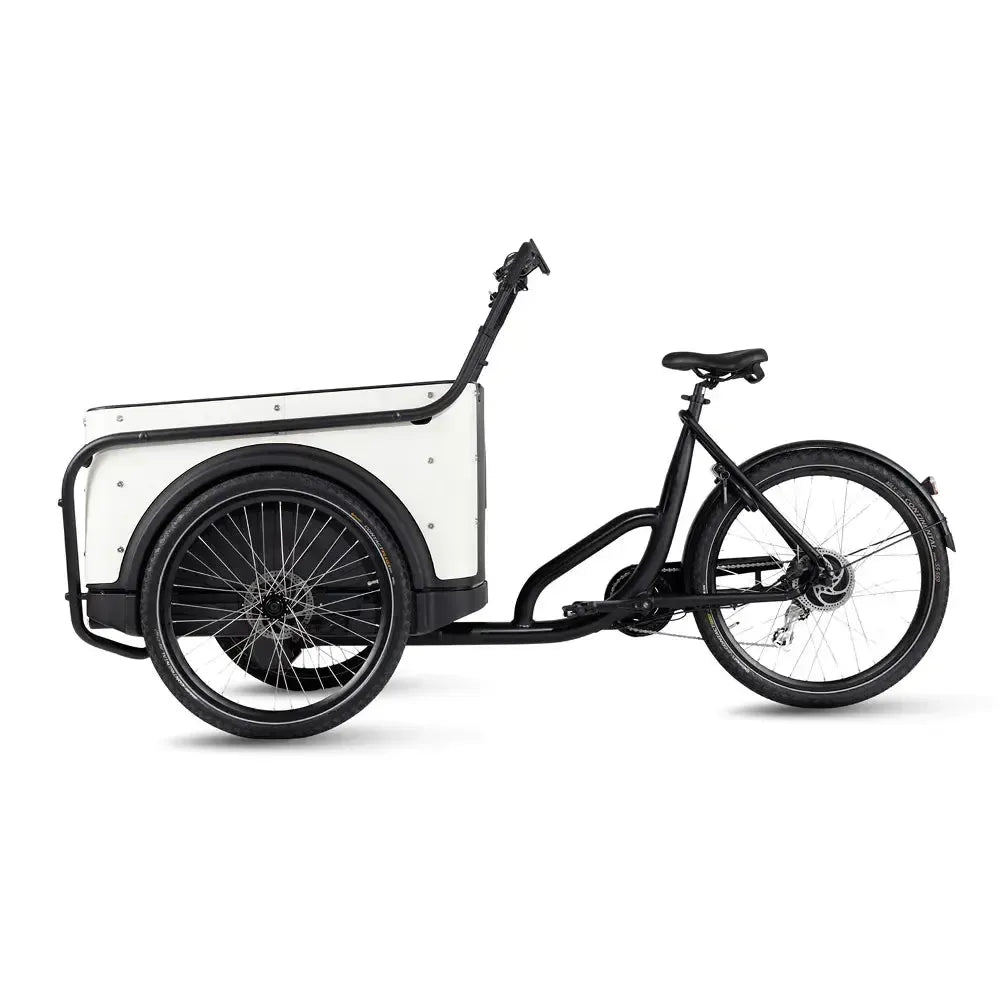 Royal Cargo Bike 3W Eco - Balts