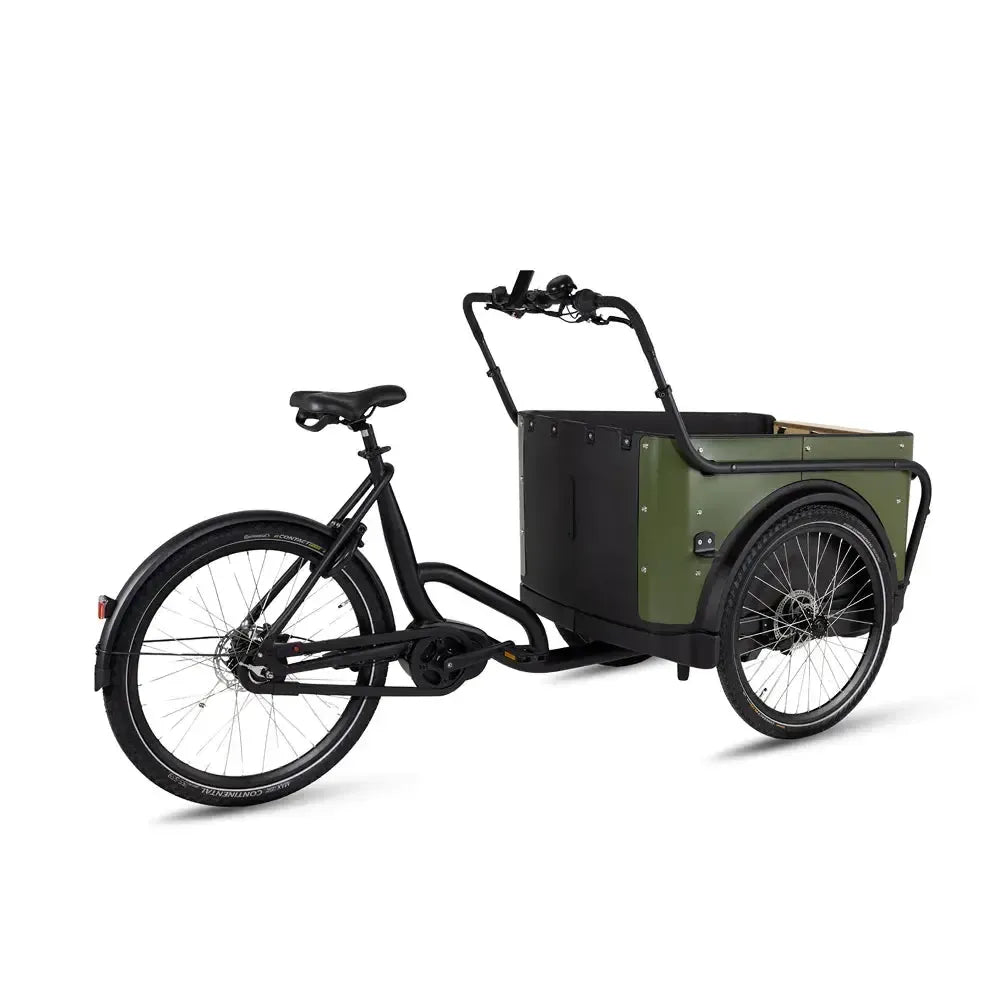 Royal Cargo Bike 3W Premium - Zaļš