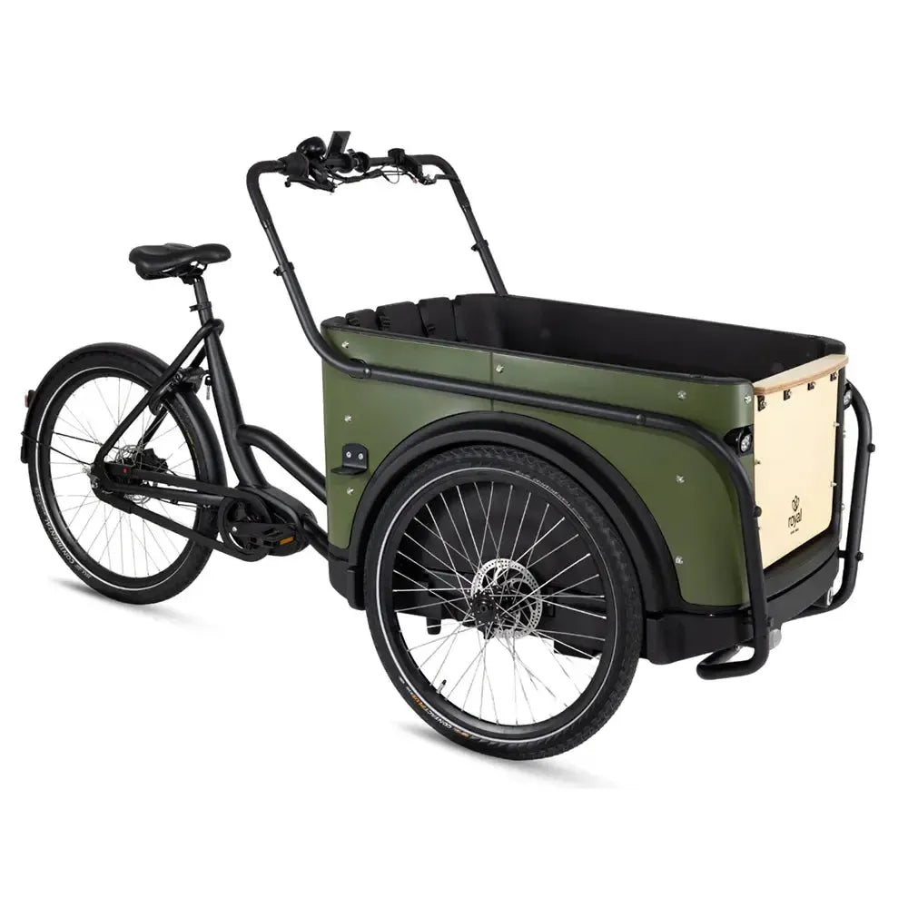 Royal Cargo Bike 3W Premium - Zaļš