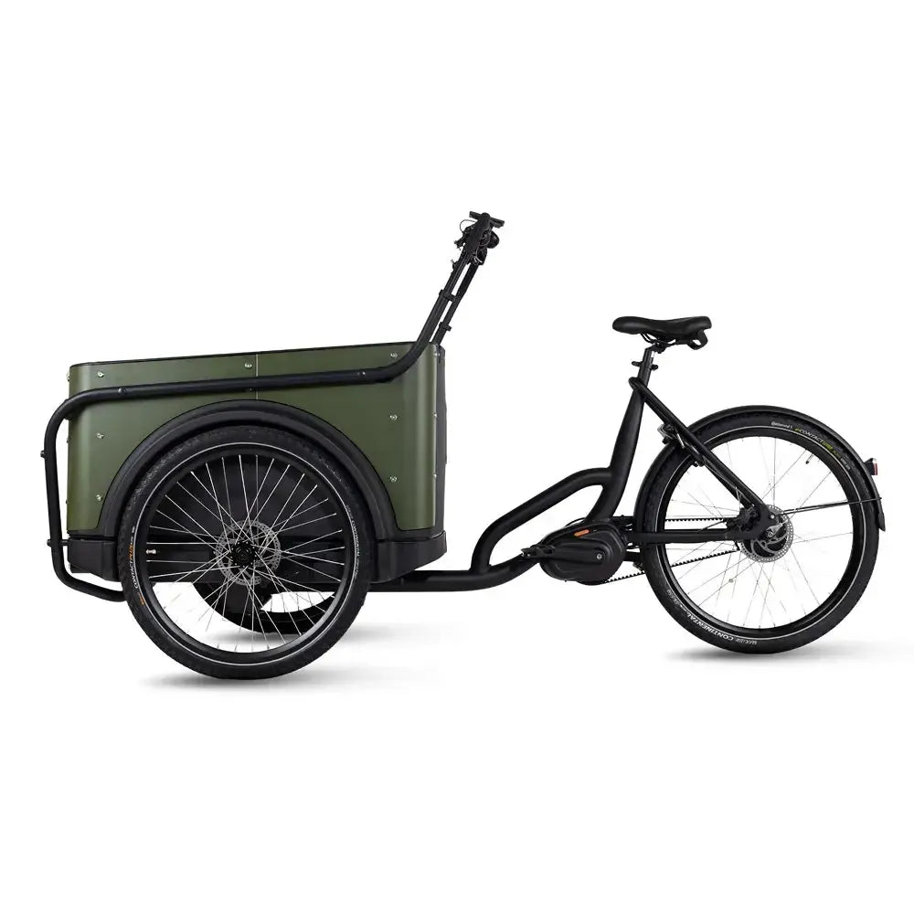 Royal Cargo Bike 3W Premium Plus - Zaļš