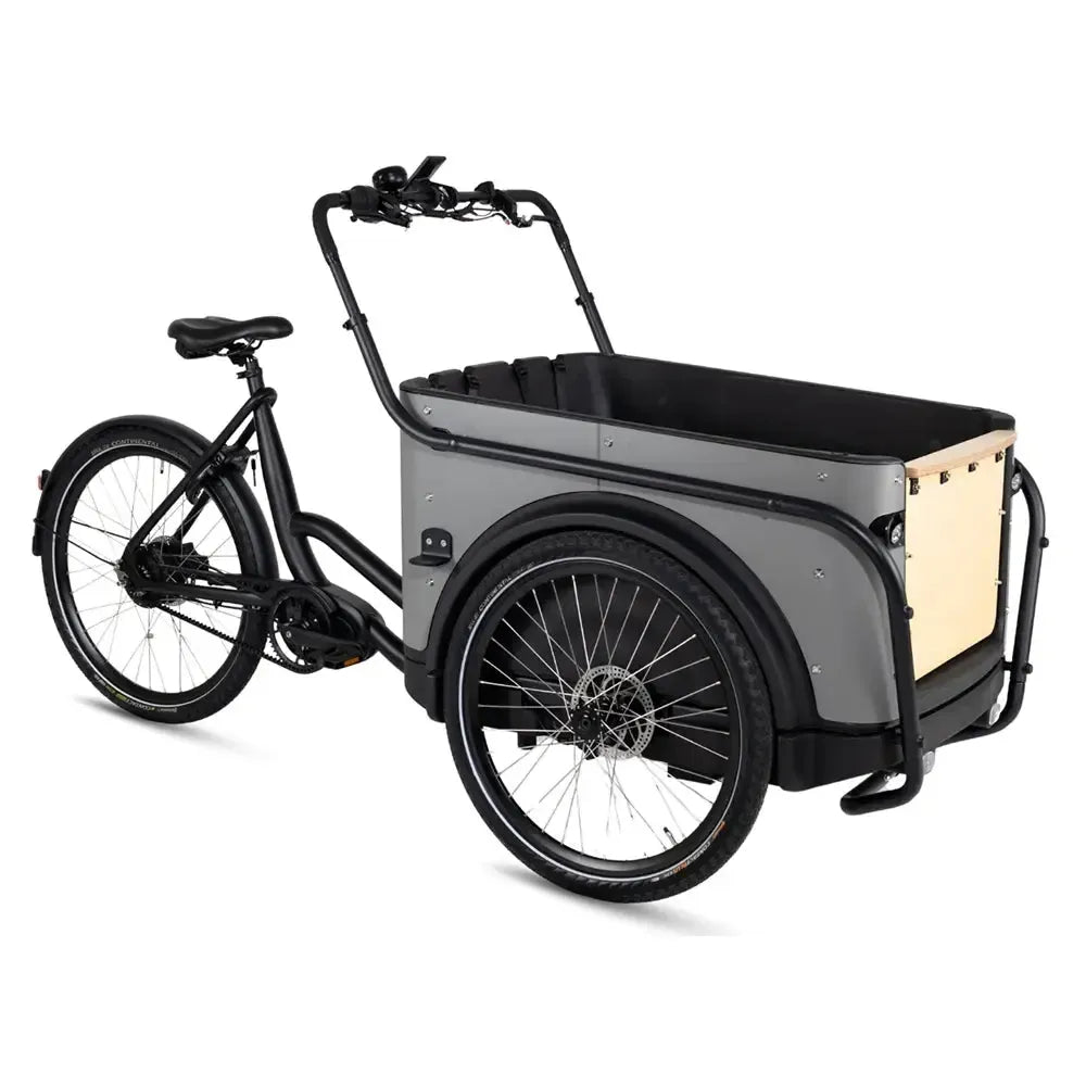 Royal Cargo Bike 3W Premium Plus - Taukpelēks