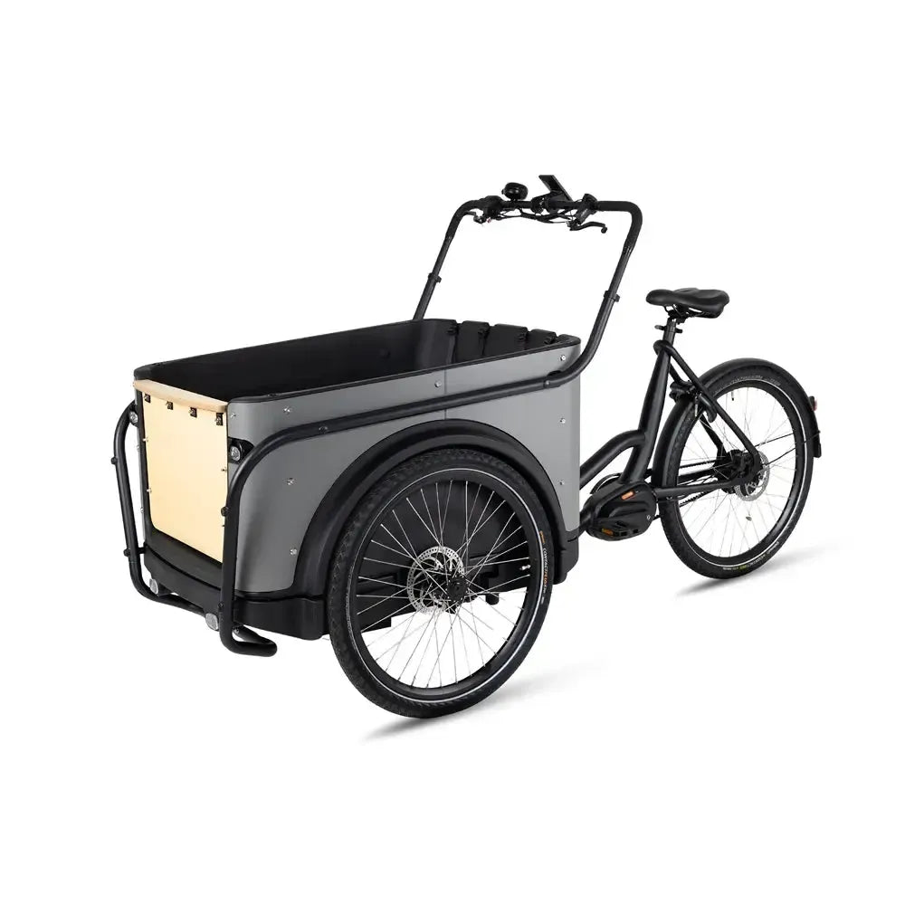 Royal Cargo Bike 3W Premium Plus - Taukpelēks