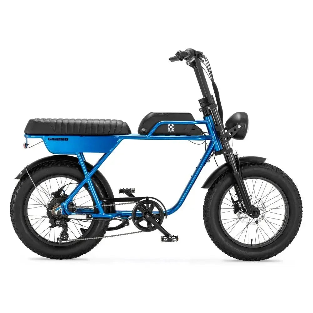 AGM GT250 - Zils