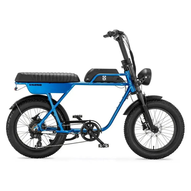 AGM GT250 - Zils