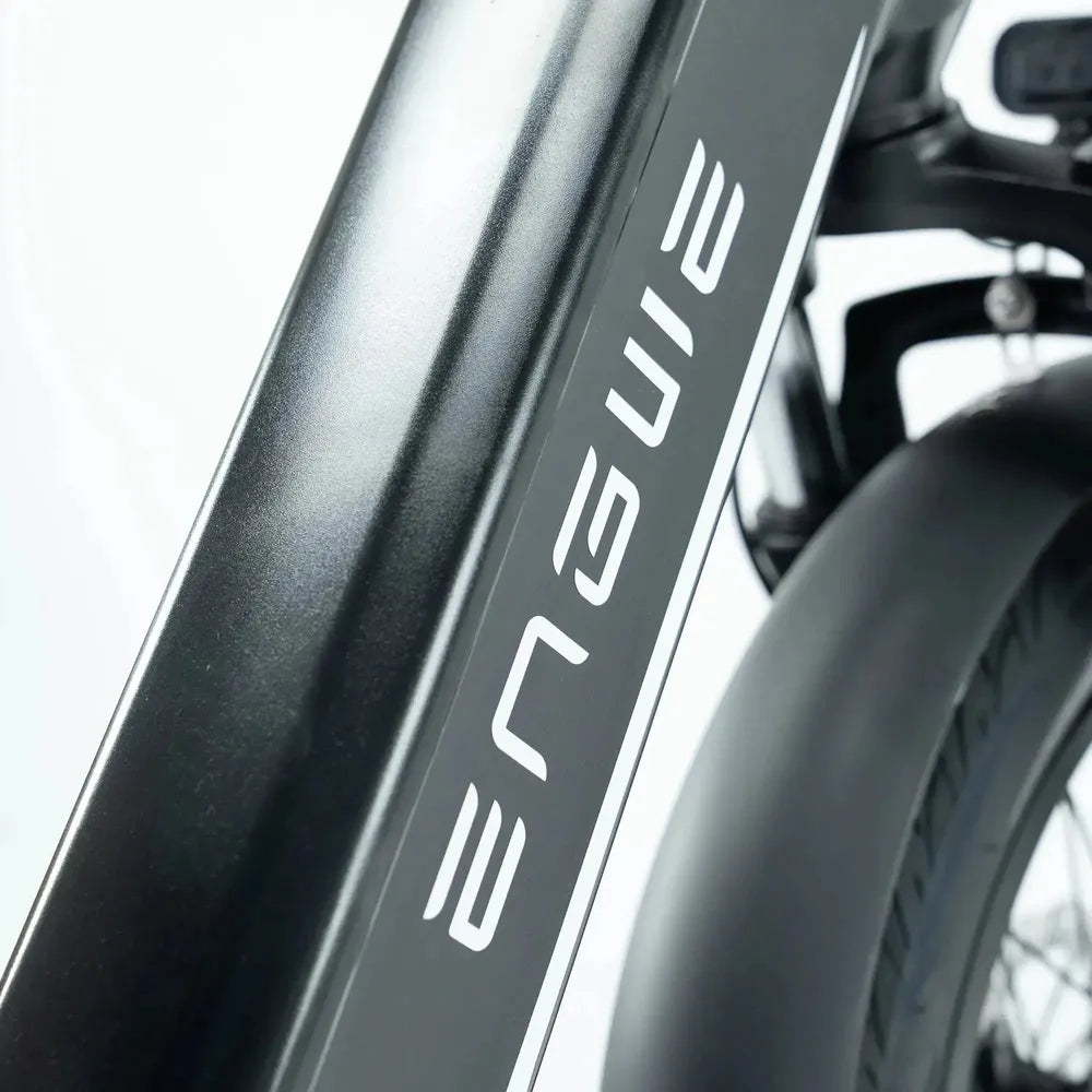 ENGWE L20 3.0 Boost - Šampanietis