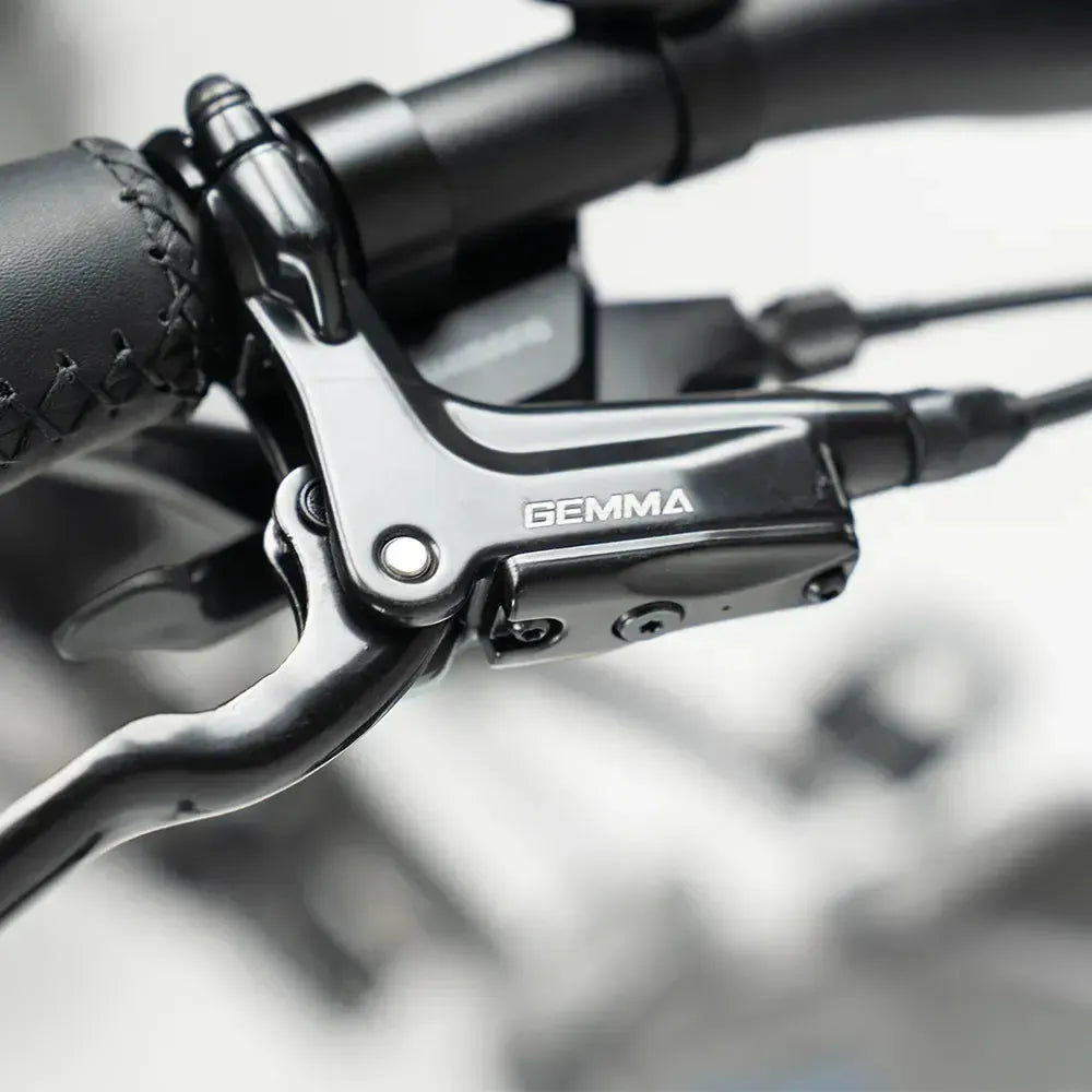 JOBOBIKE Romer Pro - Pelēks