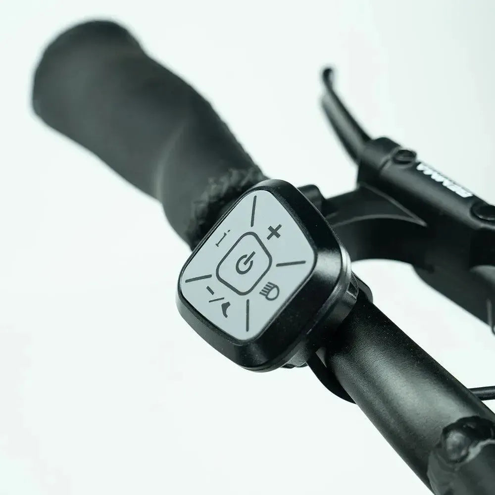 JOBOBIKE Transer - Longtail - Sudrabpelēks