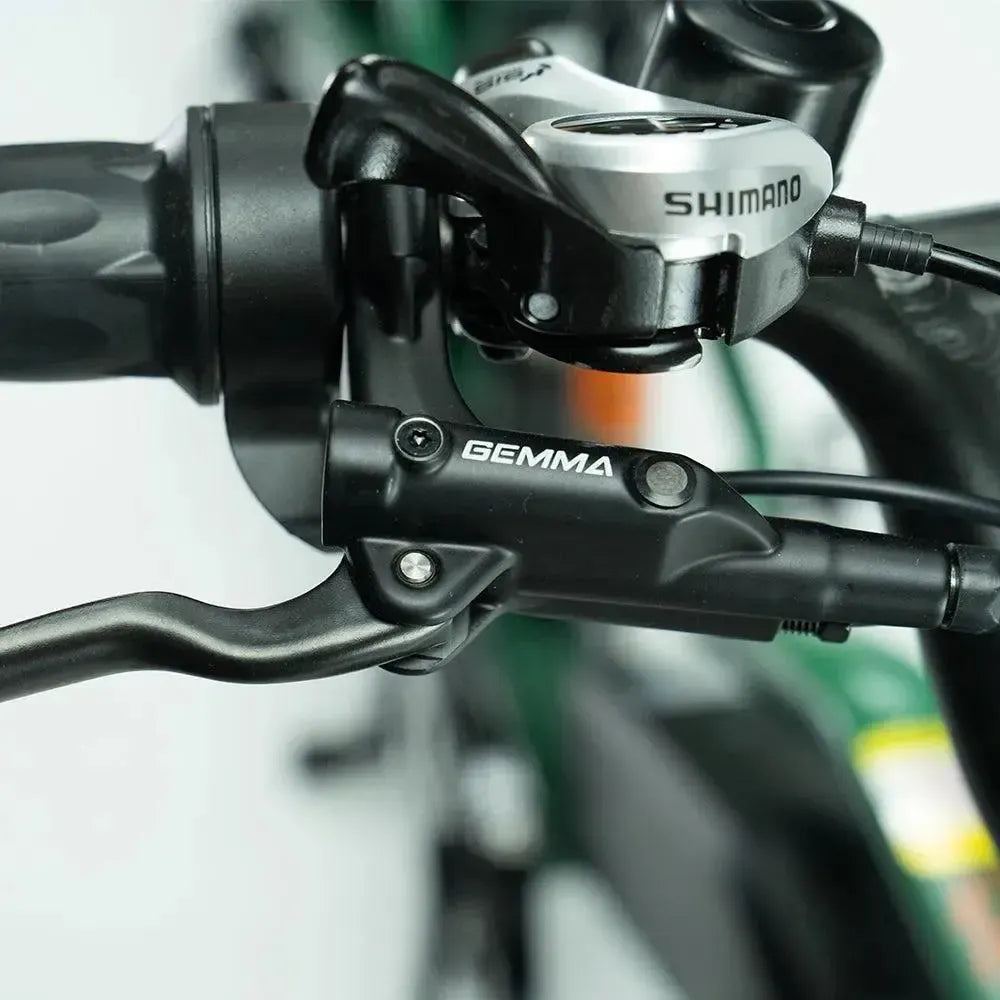 JOBOBIKE Transer - Longtail - Sudrabpelēks