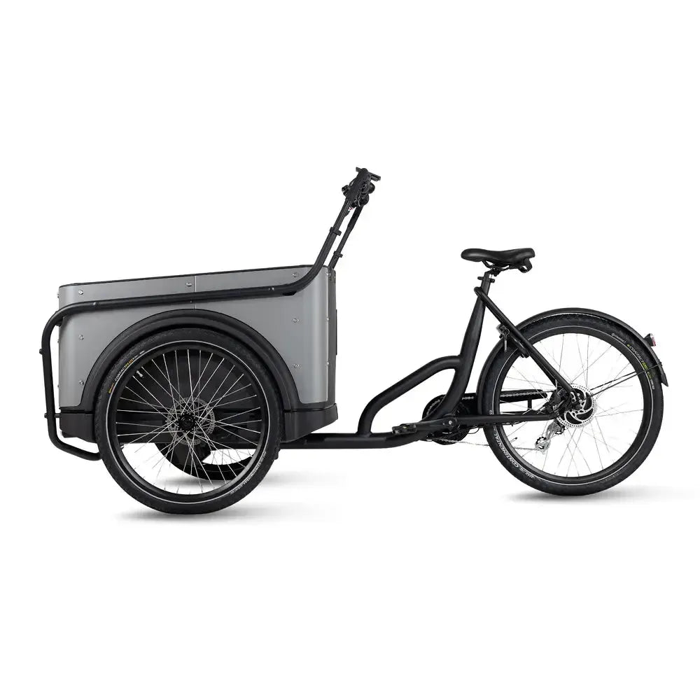 Royal Cargo Bike 3W Eco - Pelēks