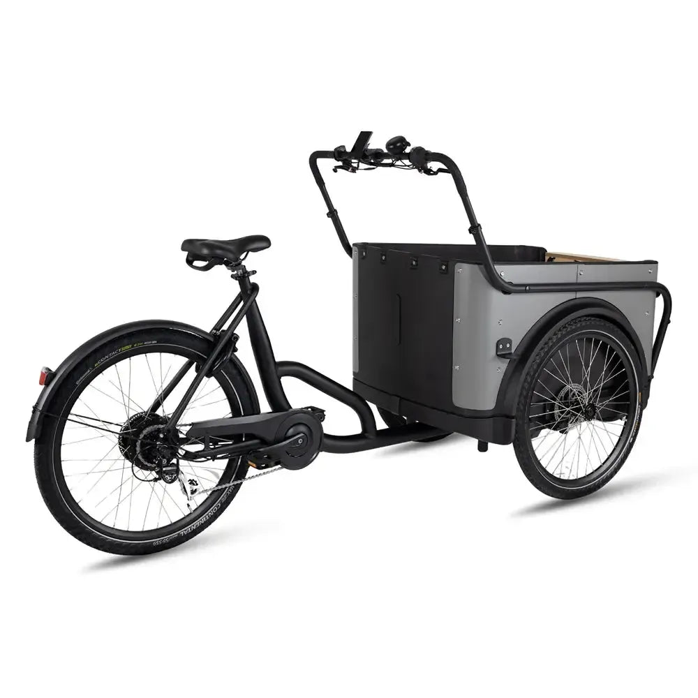 Royal Cargo Bike 3W Eco - Pelēks