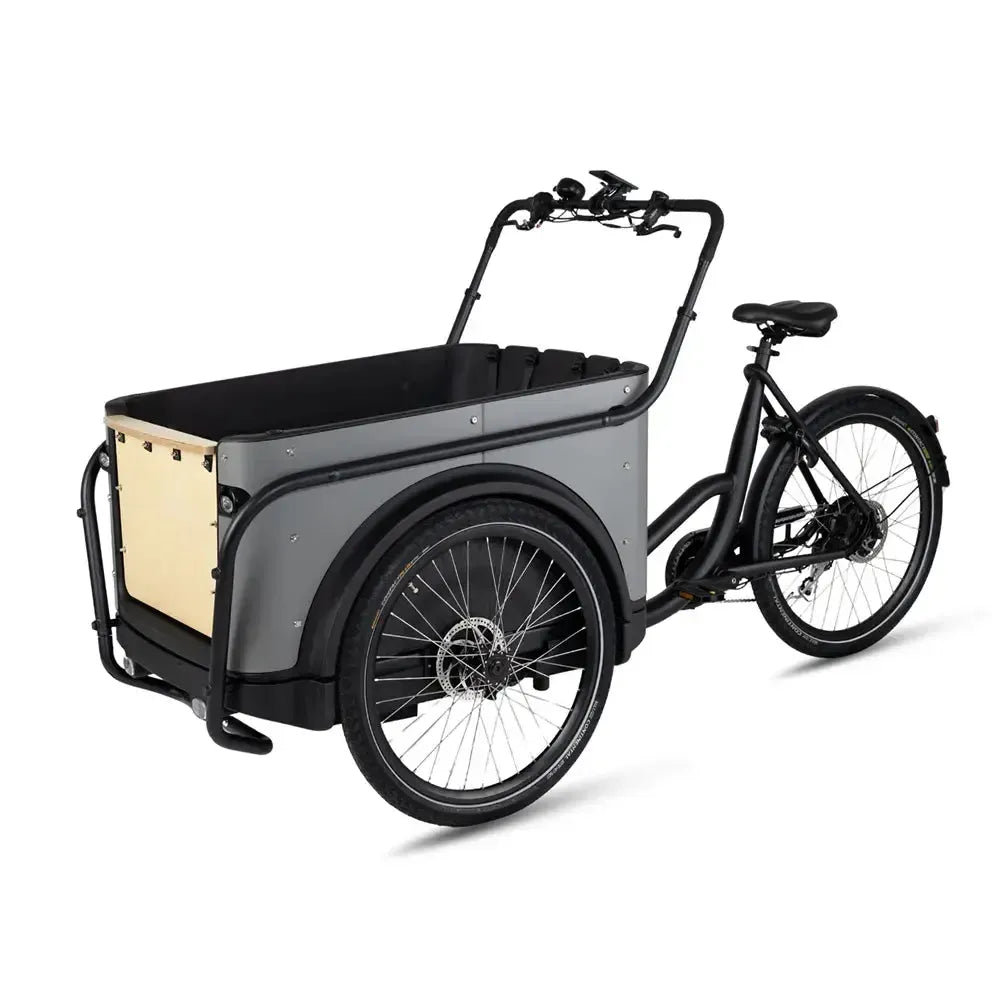 Royal Cargo Bike 3W Eco - Pelēks