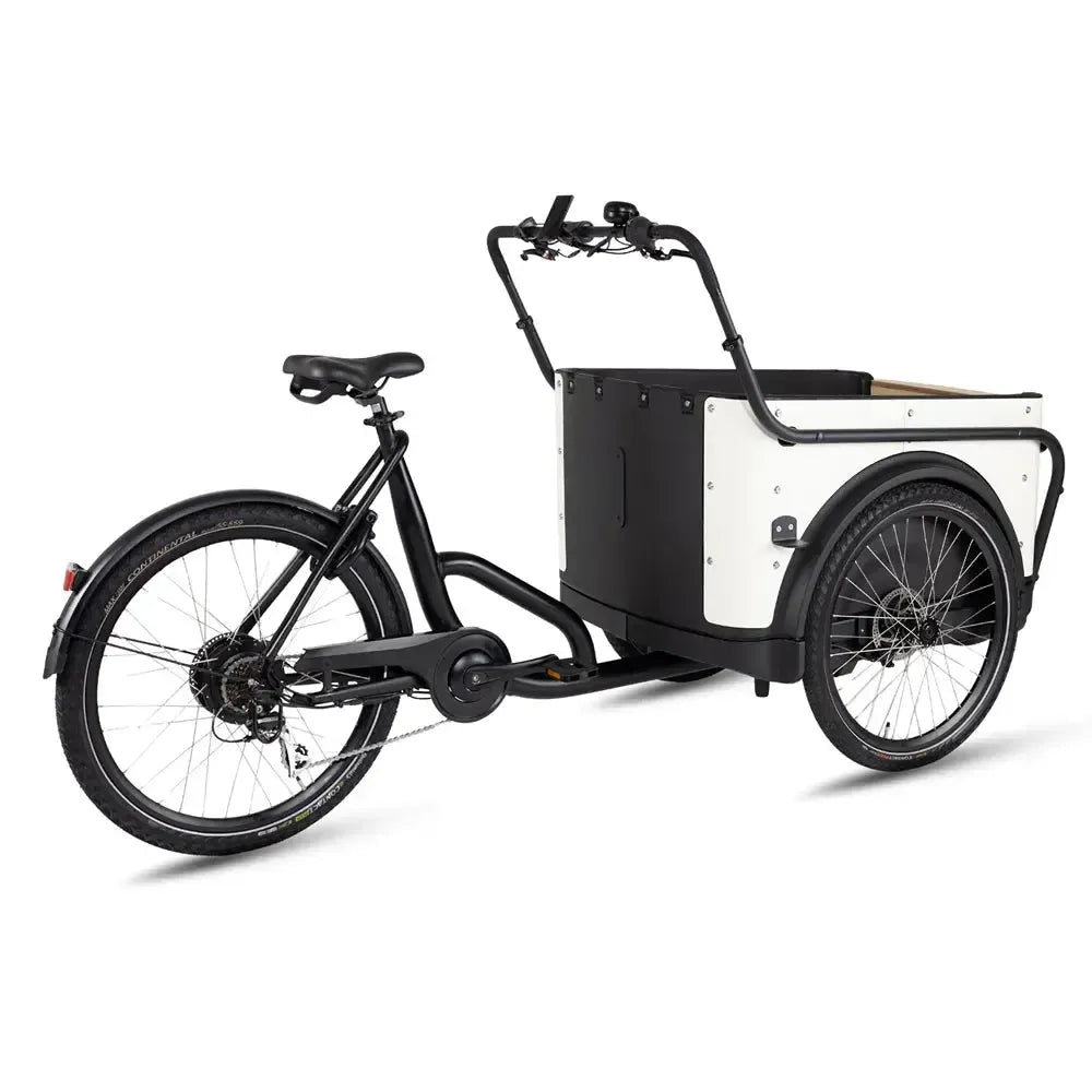 Royal Cargo Bike 3W Eco - Balts
