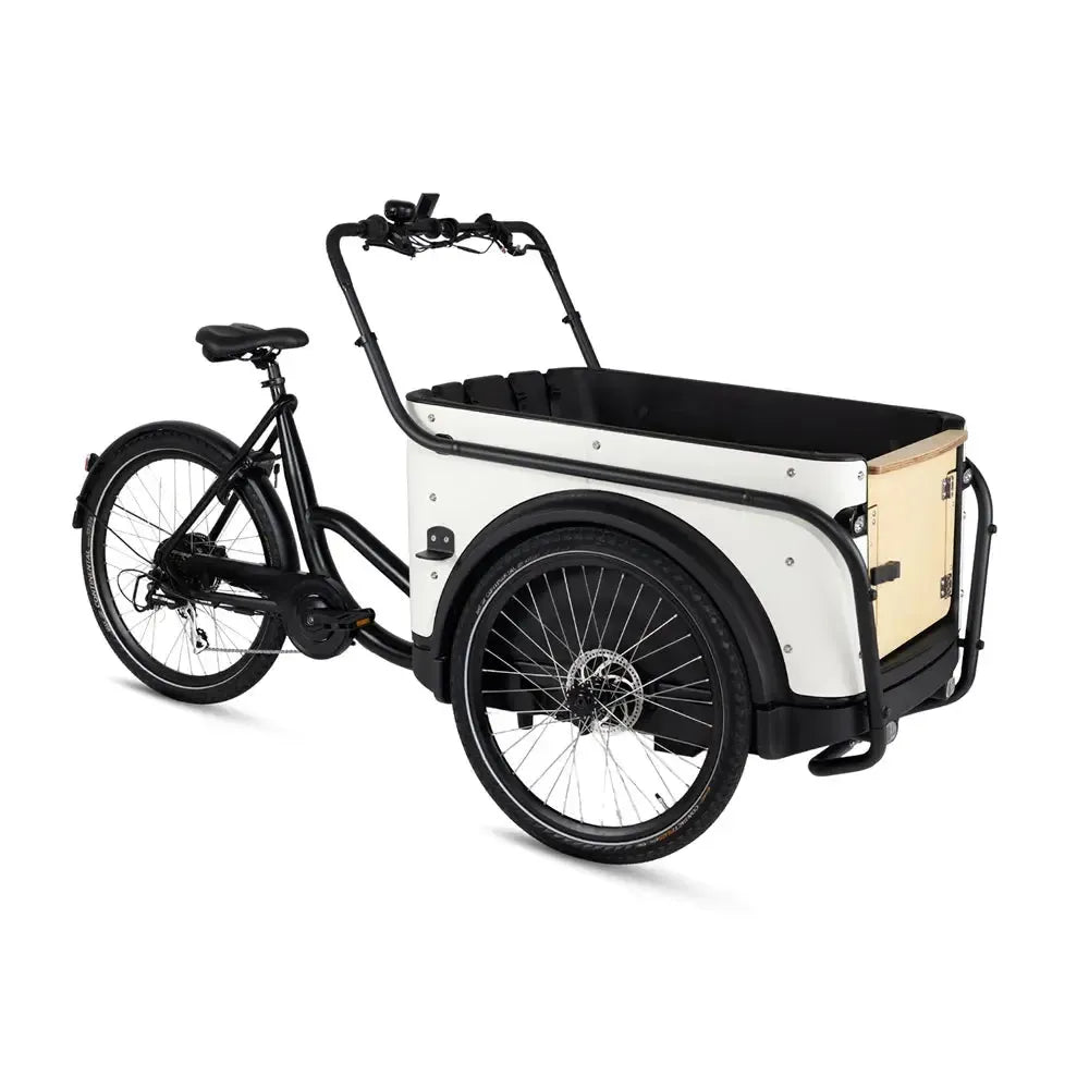 Royal Cargo Bike 3W Eco - Balts