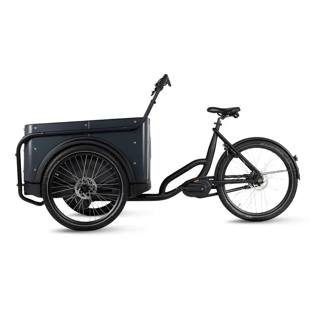 Royal Cargo Bike 3W Premium - Antracīts