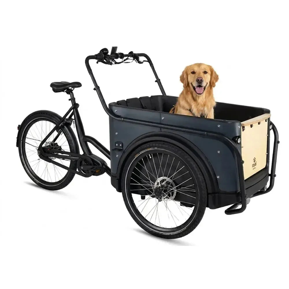 Royal Cargo Bike 3W Premium - Antracīts