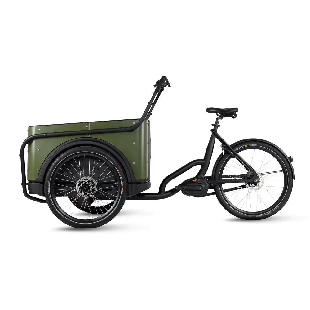 Royal Cargo Bike 3W Premium - Zaļš