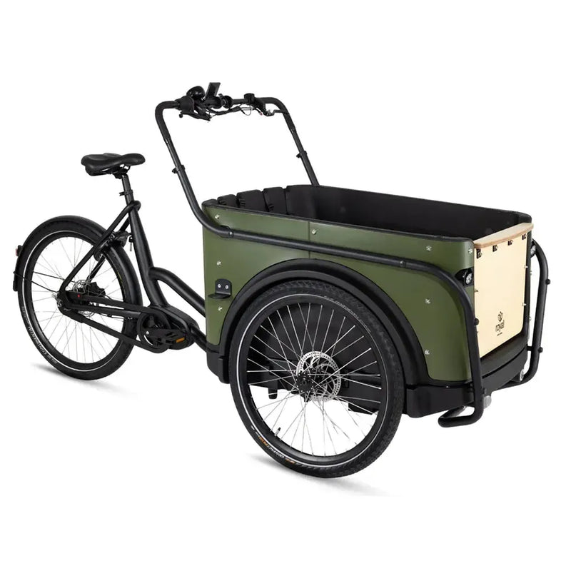 Royal Cargo Bike 3W Premium - Zaļš
