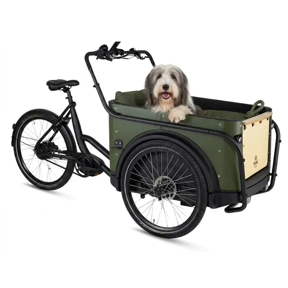 Royal Cargo Bike 3W Premium Plus - Zaļš
