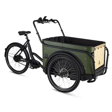 Royal Cargo Bike 3W Premium Plus - Zaļš