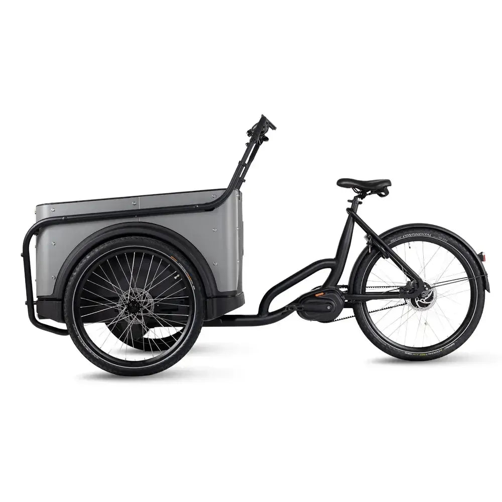 Royal Cargo Bike 3W Premium Plus - Taukpelēks
