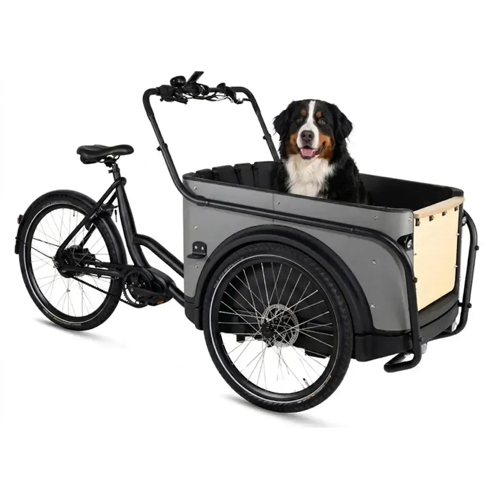 Royal Cargo Bike 3W Premium Plus - Taukpelēks