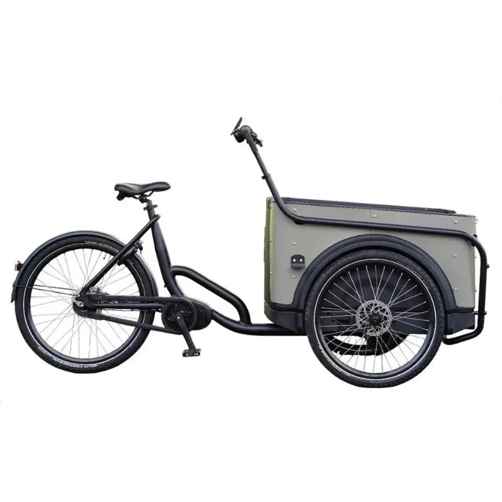 Royal Cargo Bike 3W Premium Plus - Taukpelēks