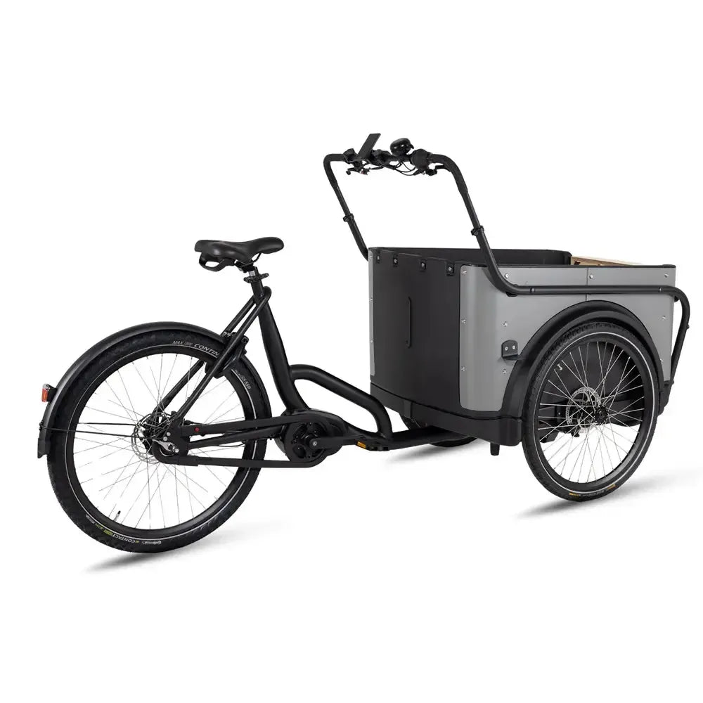 Royal Cargo Bike 3W Premium - Taupe