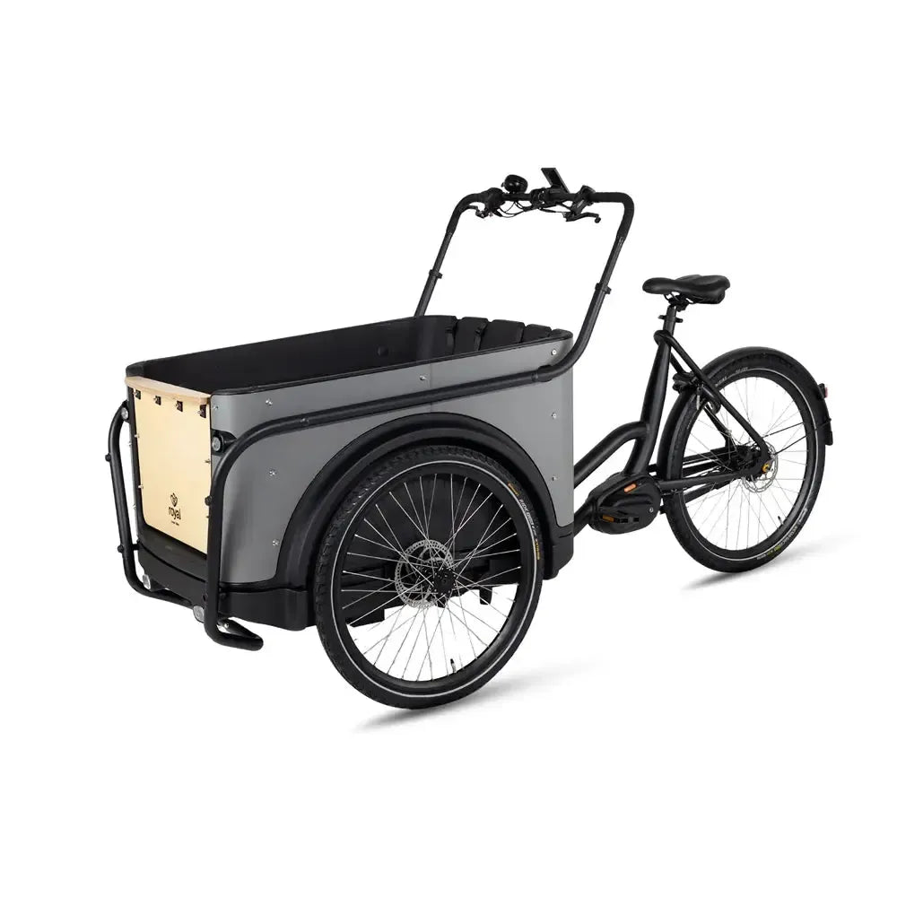 Royal Cargo Bike 3W Premium - Taupe