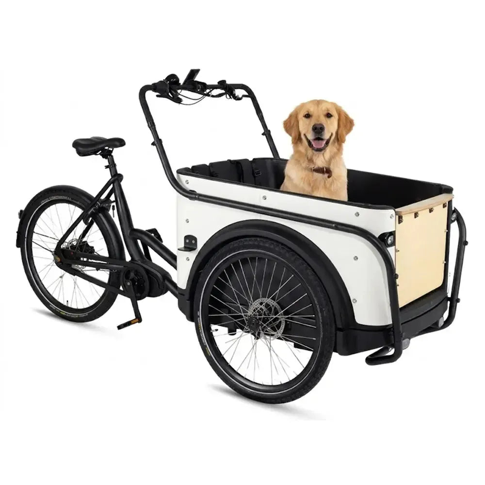 Royal Cargo Bike 3W Premium - Balts